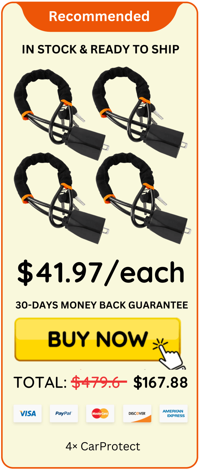 CarProtect Steering Wheel Lock offer package price 